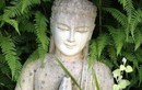 Phật dạy: 6 điều có thể giúp bạn thay đổi cuộc đời