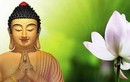20 lời Phật dạy về việc ăn nói, nhiều người không biết dễ phạm lỗi