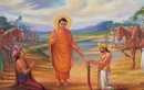 3 cái khổ trong đời theo lời Phật dạy, bạn đã từng trải qua mấy cái?