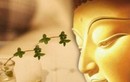 Phật dạy 3 cảnh giới lớn mà con người hiểu được sẽ thọ ích cả đời