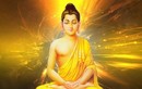 Nếu bạn đang có bệnh thì nhất định phải ghi nhớ 4 điều Phật dạy này