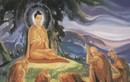 Phật dạy: 4 hành vi gây tổn hại phúc báo, nên tránh xa