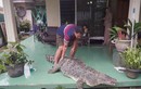 Gia đình nuôi cá sấu 200kg trong nhà làm thú cưng, chiều chuộng như con