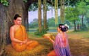 6 cách sống của Đức Phật giúp phụ nữ luôn xinh đẹp từ trong ra ngoài