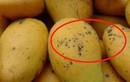 3 loại trái cây nằm trong danh sách đen có thể nuôi dưỡng tế bào lạ