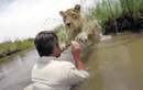 Video: Người đàn ông bị sư tử vồ giữa sông và diễn biến không ngờ