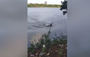 Video: Người đàn ông bị cá sấu rượt đuổi và bị ngoạm vào tay