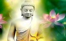 Nguyên tắc cơ bản của Phật giáo giúp bạn tu 3 giờ hiệu quả như 3 năm