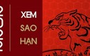 Chi tiết sao hạn năm Nhâm Dần 2022 của 12 con giáp