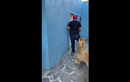 Video: Người đàn ông khóc thét khi nhìn thấy thú cưng của bạn