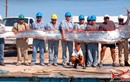 Cá Oarfish, báu vật của biển sâu