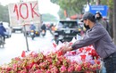 Thanh long Việt Nam xuất sang châu Âu giá 400.000 đồng 1 quả