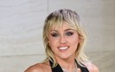 Bộ sưu tập biệt thự, trang trại của Miley Cyrus