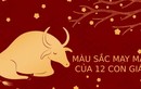 Màu sắc mang lại may mắn cho 12 con giáp trong năm Tân Sửu 2021