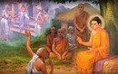Phật chỉ ra nhân duyên kiếp trước của 10 loại người, bạn thuộc loại nào?