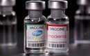 CDC Mỹ tiết lộ thông tin hiệu quả của vắc xin Pfizer và Moderna