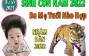 Bố mẹ tuổi này sinh con Nhâm Dần 2022 cực hợp, làm gì cũng phát 