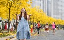 Đổ xô chụp ảnh ở đường hoa vàng óng mới xuất hiện tại Hà Nội