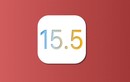 Có gì mới trong iOS 15.5 dành cho iPhone?