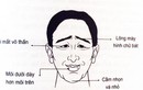 Người sở hữu 2 thứ mỏng, 2 vị trí nhỏ đen cả tình lẫn tiền