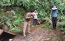 Lần đầu tiên phát hiện dấu chân khủng long tại Lạc Sơn, Trung Quốc 