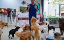 Lạ lùng dịch vụ gửi thú cưng đi... "nhà trẻ" sang chảnh ở Hà Nội