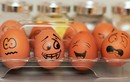 Trứng giúp cải thiện chức năng nhận thức
