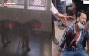 Video: Báo hoa mai tấn công người trong tòa án ở Ấn Độ