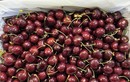 Quả cherry giàu dinh dưỡng vốn đắt đỏ thường nhà giàu hay mua