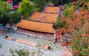 Ngôi chùa nghìn năm tuổi ở HN nên thơ với sắc đỏ hoa gạo