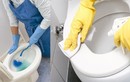 Làm gì khi nhà vệ sinh bẩn và có mùi? 