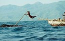 Video: “Rợn người” với màn săn cá voi khổng lồ  