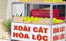 Xoài cát Hòa Lộc giá rẻ chưa từng có