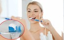 Nhúng kem đánh răng vào nước trước khi đánh răng có đúng không?