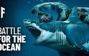 Điều gì xảy ra nếu cá mập Megalodon chiến đấu với trăn Titanoboa?