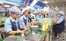 Nhật Bản đẩy mạnh thu mua linh kiện công nghiệp với Việt Nam