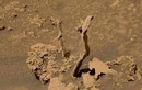 Khám phá sao Hỏa, phát hiện "rắn hổ mang" hơn 3 tỷ năm tuổi?