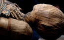 Bí ẩn về nguồn gốc của những xác ướp Ai Cập 