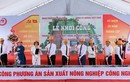 Hà Nội: Khởi công dự án nông nghiệp công nghệ cao Long Biên