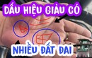 4 dấu hiệu trong lòng bàn tay là thần Tài "đánh dấu", chẳng lo nghèo