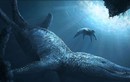 Khai quật hóa thạch của ‘khủng long bạo chúa dưới nước’