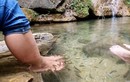 Đến thác Khuổi Nhi trải nghiệm dịch vụ "massage cá" độc đáo