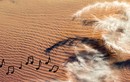 Vì sao một số sa mạc có thể phát ra âm thanh kỳ quái?