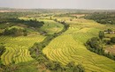 Ngắm những "ô màu" trên ruộng bậc thang Chư Sê ở Gia Lai