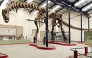 8 loài khủng long lớn nhất Trái đất thời Tiền sử