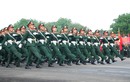 Hình ảnh ngày đầu hợp luyện diễu binh kỷ niệm Đại lễ 30/4