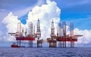 Con đường để Petrovietnam trở thành TĐ Công nghiệp - Năng lượng Quốc gia