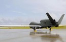 Soi sức mạnh Mỹ Global Hawk "tặng" Nhật Bản do thám Triều Tiên