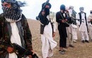 Afghanistan tiêu diệt chỉ huy chủ chốt của Taliban