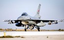 Tiêm kích F-16 được trang bị vũ khí nào khi về VN?